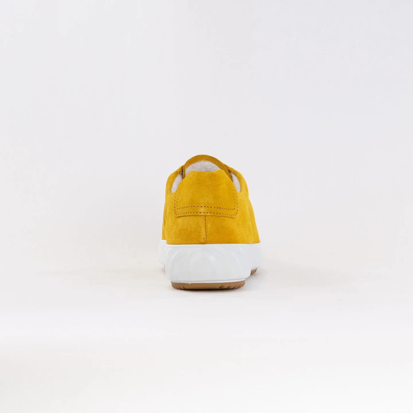 Ara Alexandria Lace Up Sneaker (Women's) - Yellow Suede offroad use