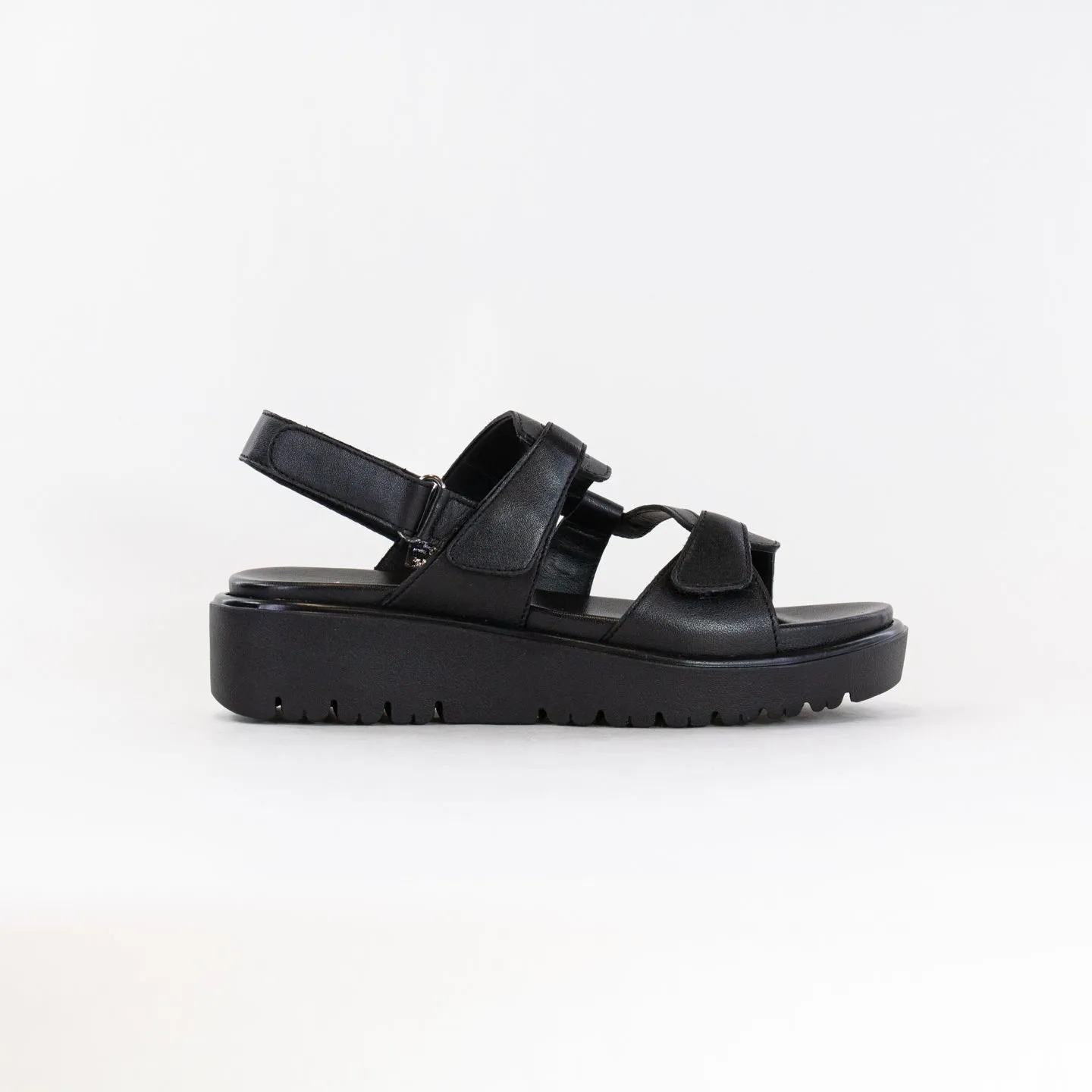 Ara Bayview Sandal (Women's) - Black Art Mood