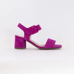 Ara Bethel Dress Sandal 12-20507-16 (Women's) - Pink Zen Walk