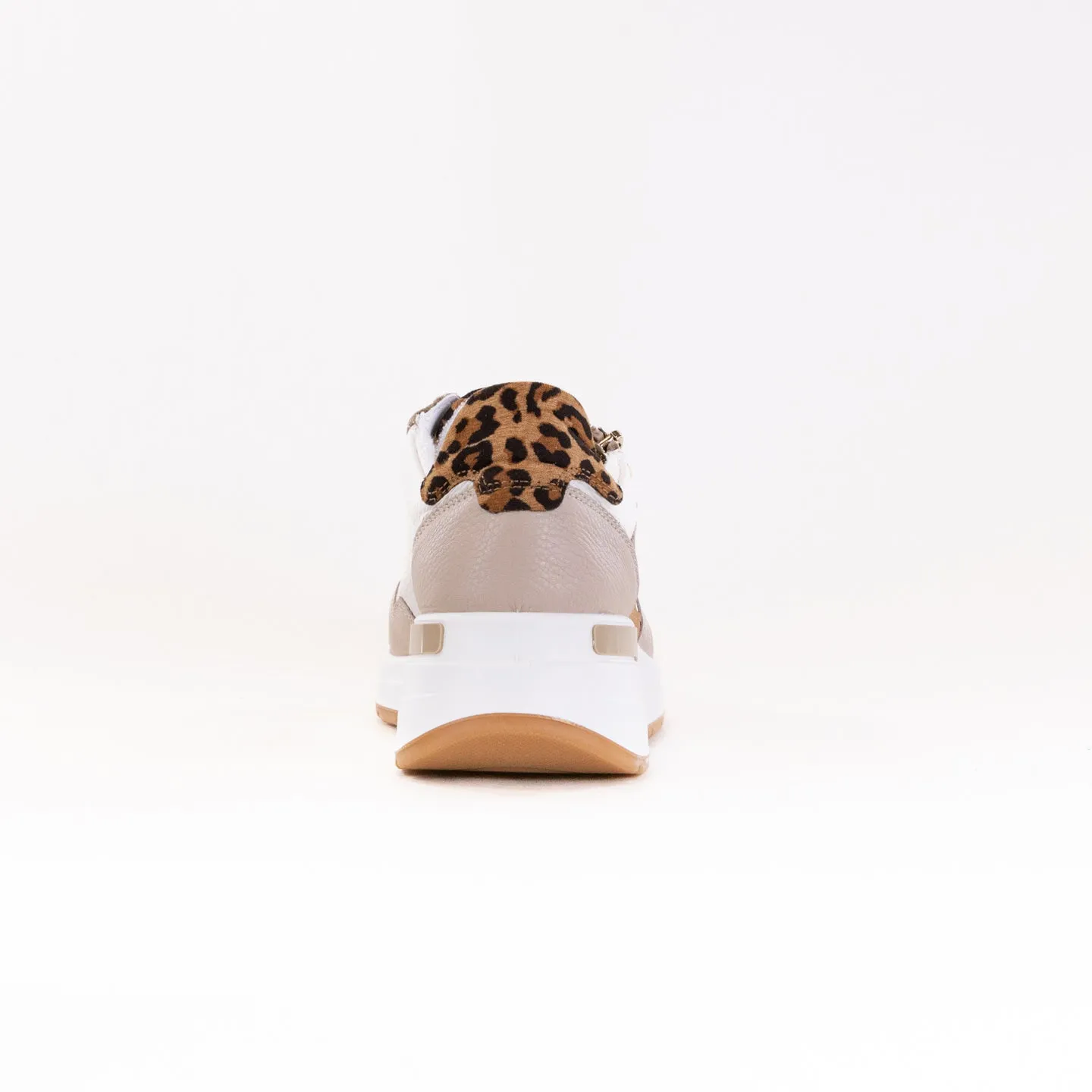 Ara Garda (Women's) - Shell/Cream/Sand/Biscuit firm track