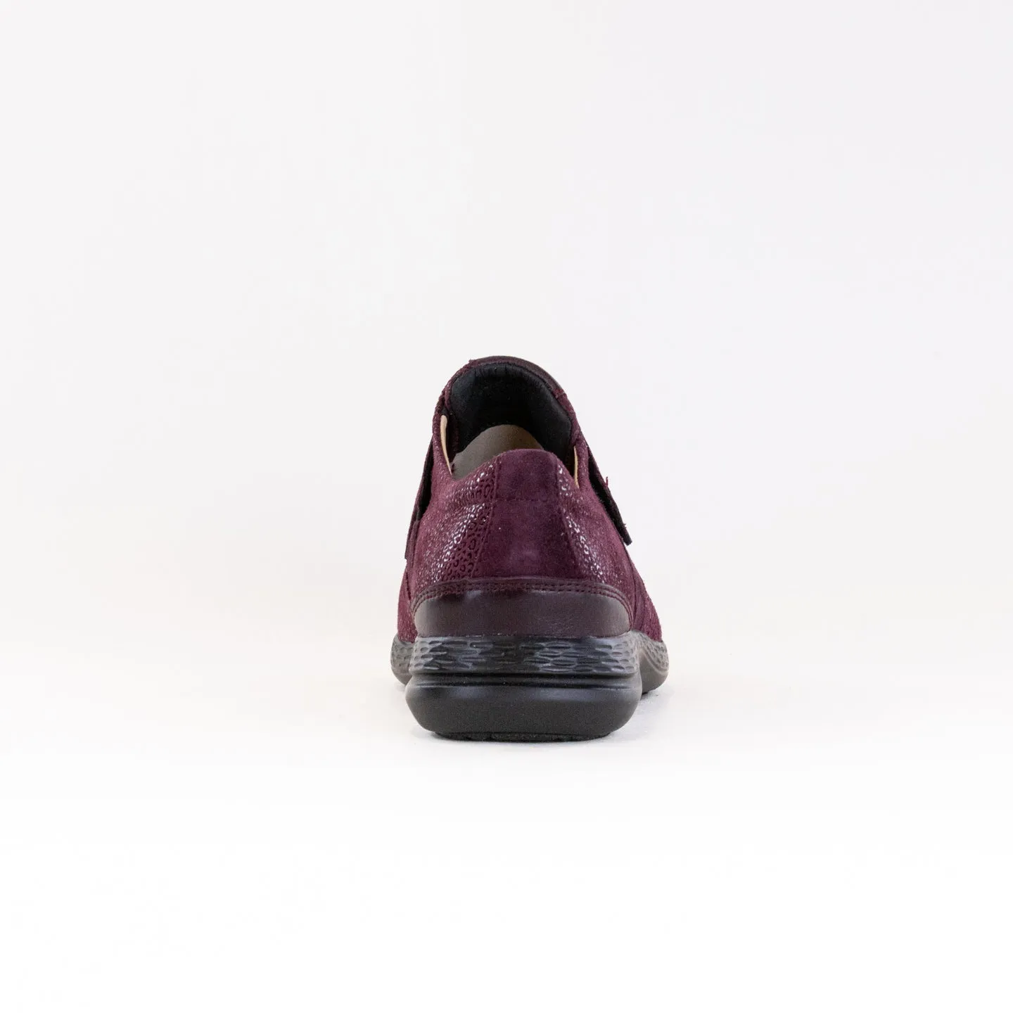 Fidelio Multistretch Hi Energy (Women's) - Bordo Theo mountain town