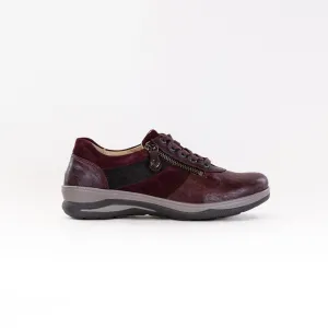 Fidelio Multistretch Mitzy (Women's) - Vino nature step Fidelio Multistretch Mitzy (Women's) - Vino dry shield