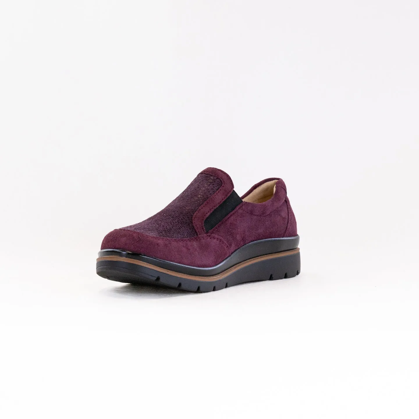 Fidelio Namir Multistretch Gallery (Women's) - Vino seamless ride
