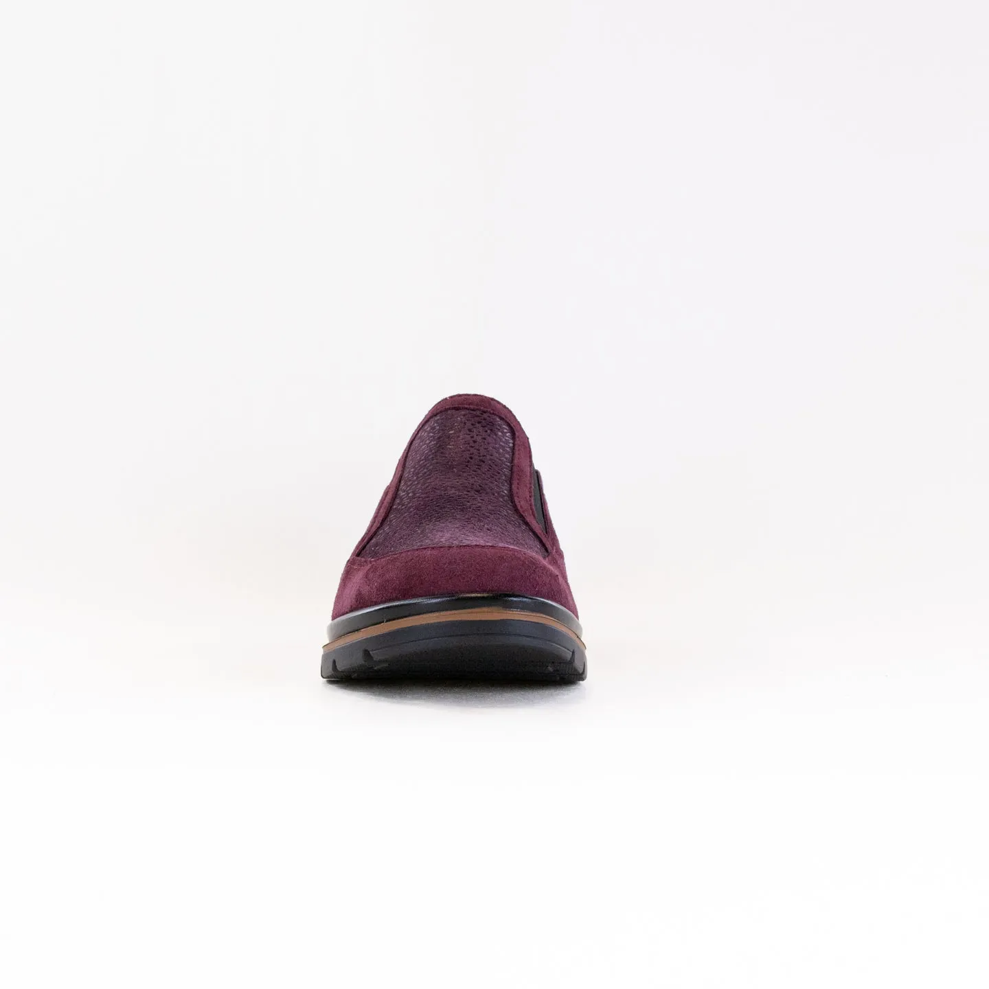 Fidelio Namir Multistretch Gallery (Women's) - Vino dry zone
