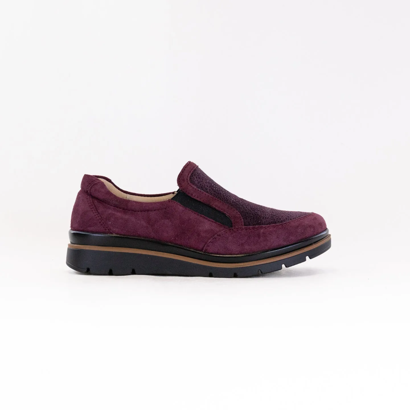 Fidelio Namir Multistretch Gallery (Women's) - Vino confidence boost