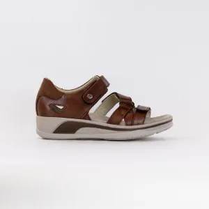 Wolky Desh (Women's) - Cognac City Cool Wolky Desh (Women's) - Cognac Touch Ground