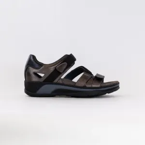 Wolky Desh (Women's) - Inox Resort Edit