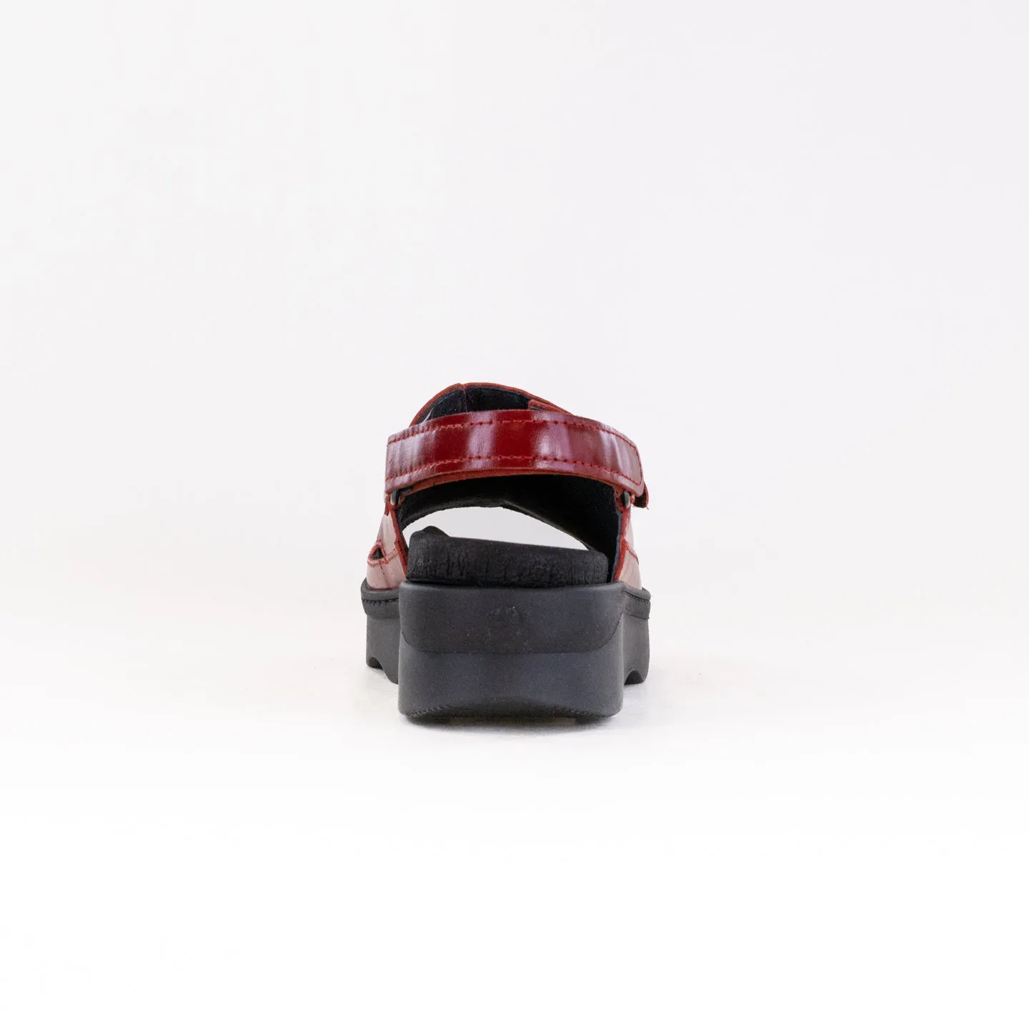 Wolky Laprida (Women's) - Oxblood Daily Feel