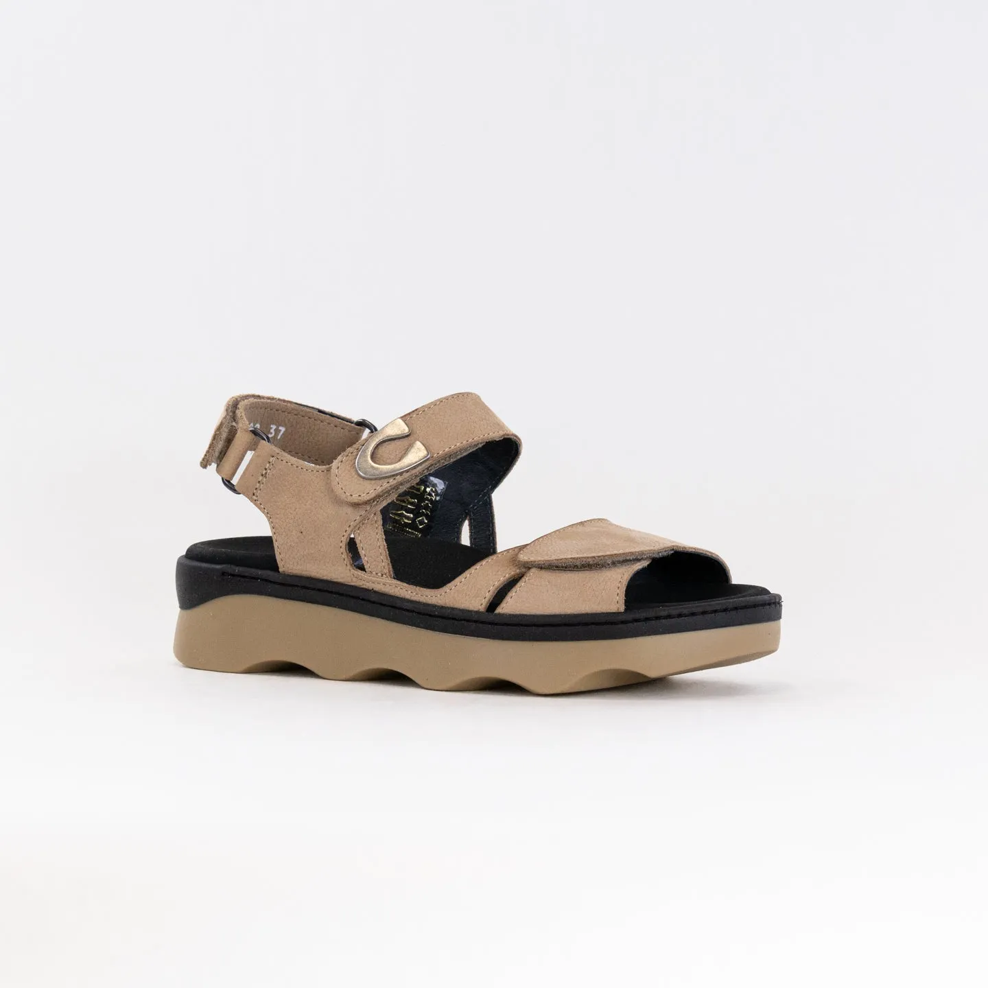 Wolky Medusa (Women's) - Beige Antique Nubuck Nature Vibe