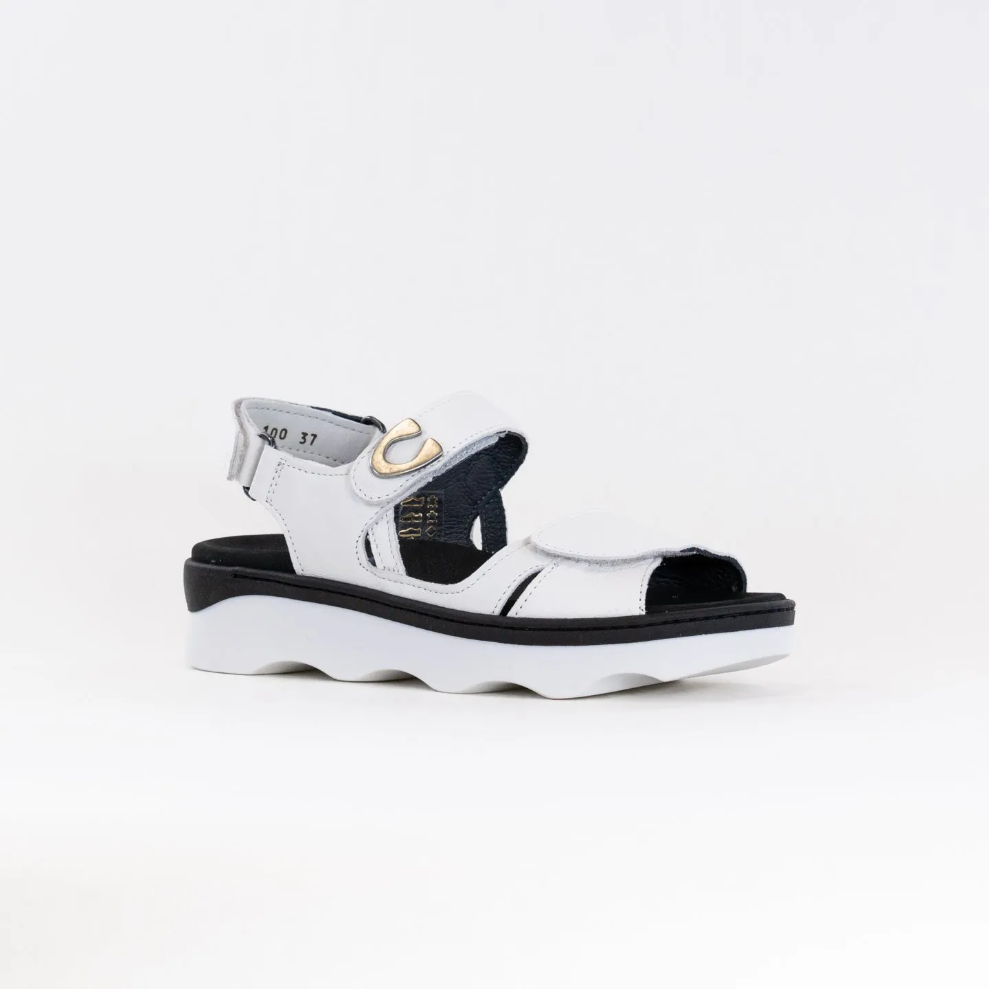 Wolky Medusa (Women's) - White Leather Barefoot Feel